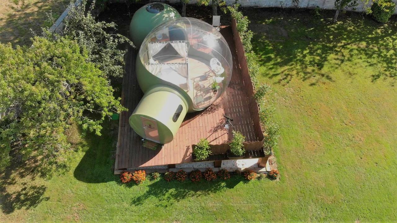 Remanso De Trasfontao Casa Das Arbores & Bubble Silleda Exteriér fotografie