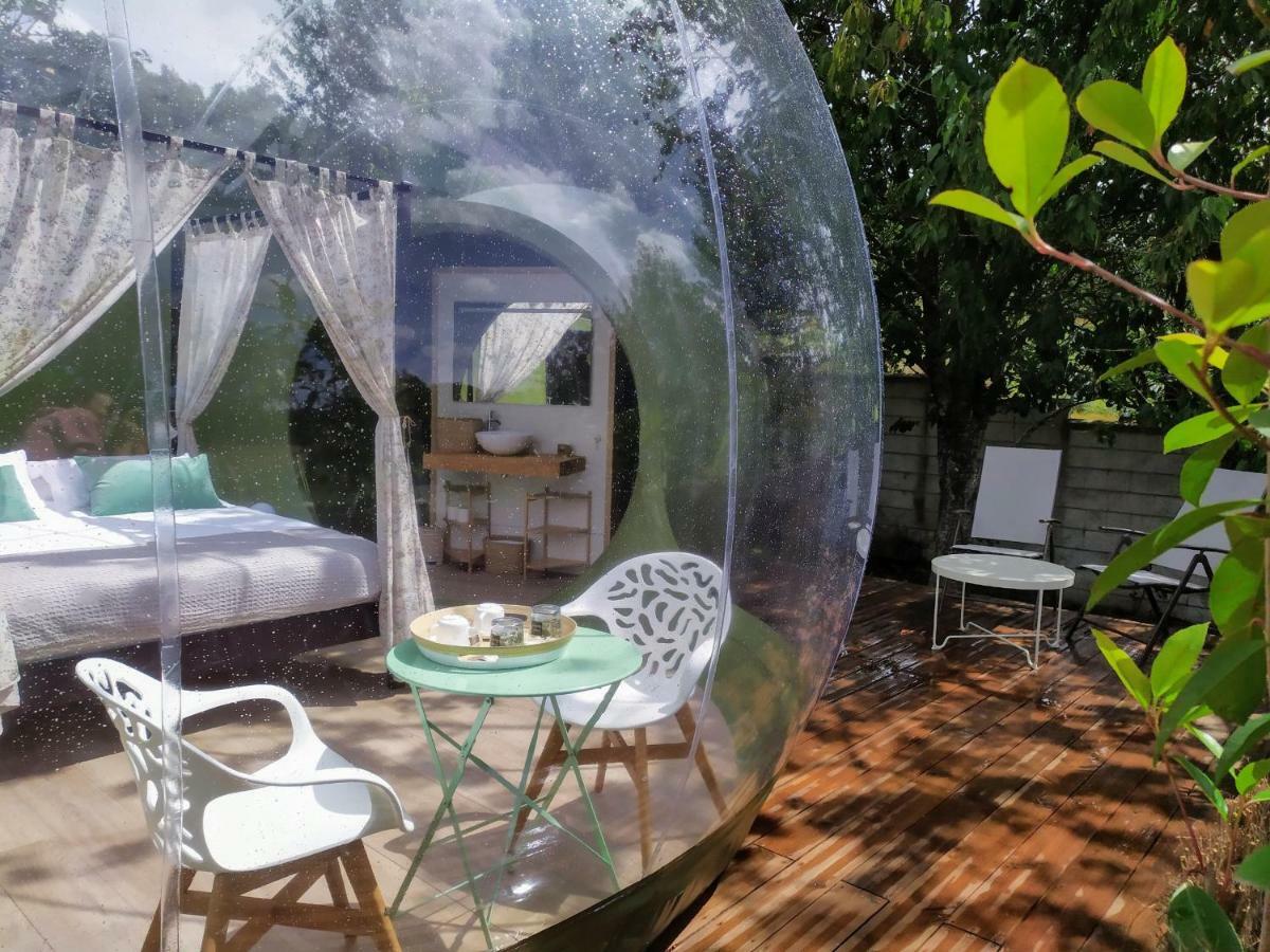 Remanso De Trasfontao Casa Das Arbores & Bubble Silleda Exteriér fotografie